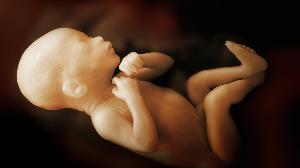 Εμβρυακή ψυχολογία – Οι ρίζες της ανθρώπινης συμπεριφοράς αρχίζουν να αναπτύσσονται νωρίς